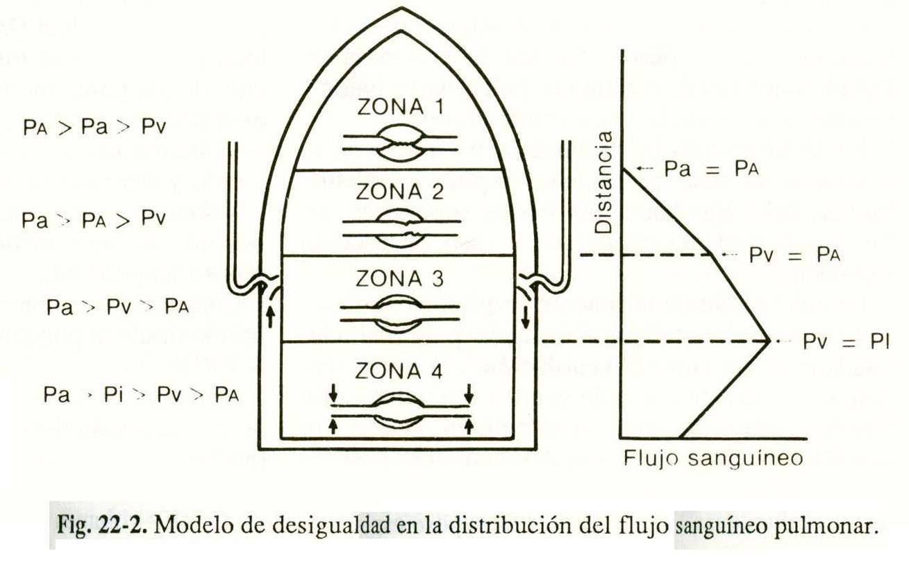 espiro02