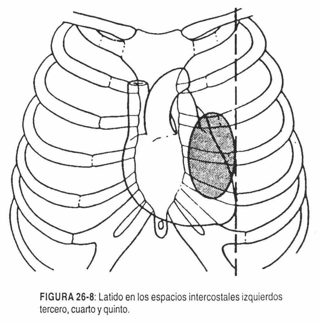 hacardio09