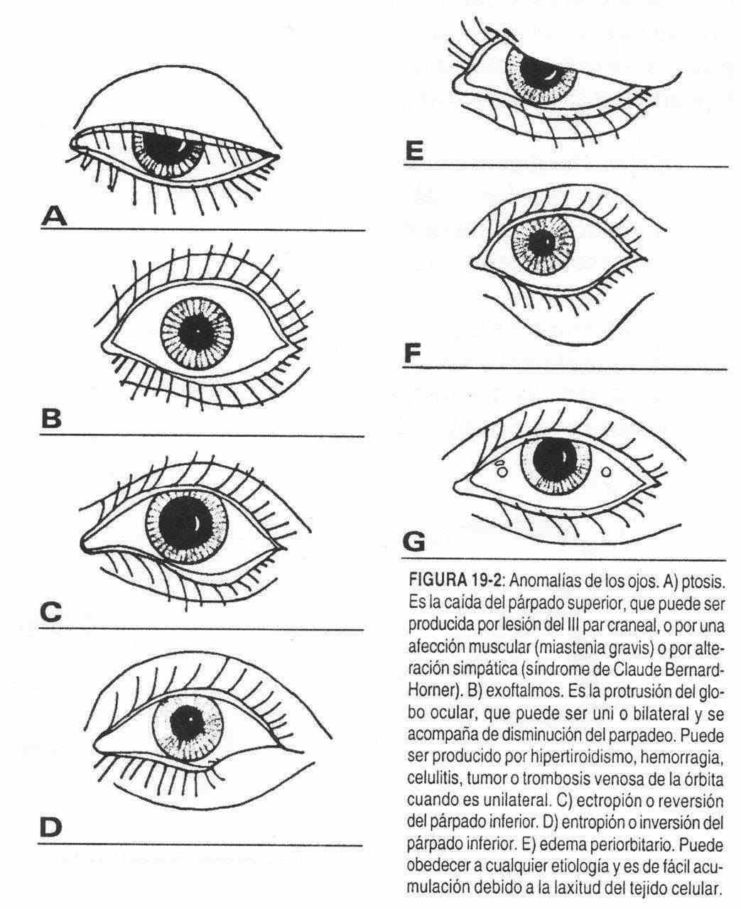 haojos02