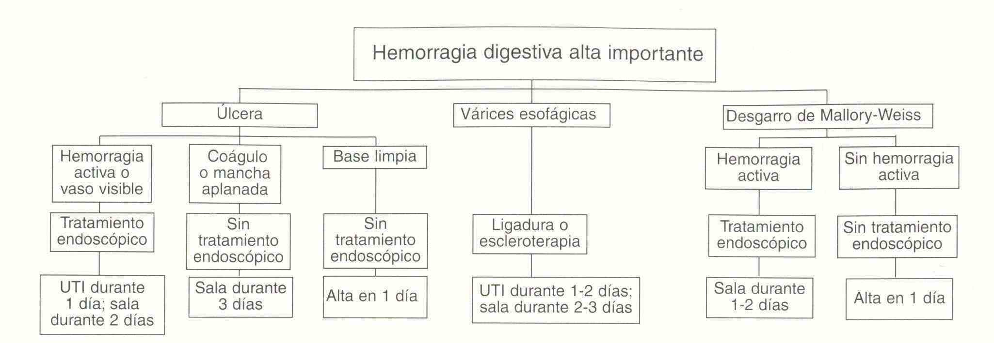 hemorrdig01