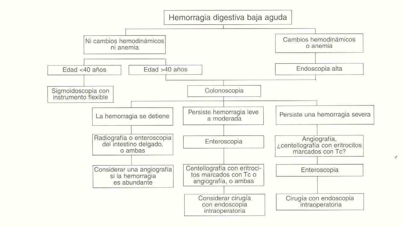 hemorrdig02