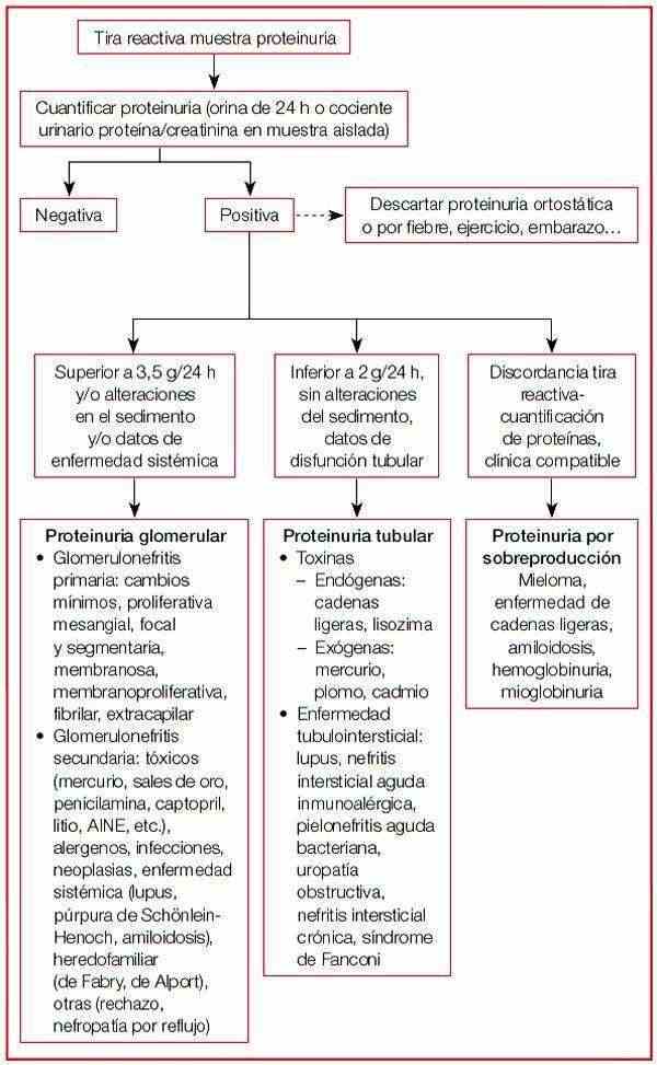 proteinfig4