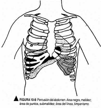 exabdomen06