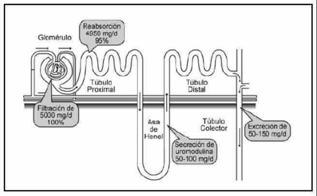 proteinfig3