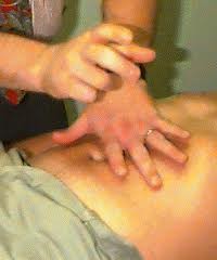 orina7